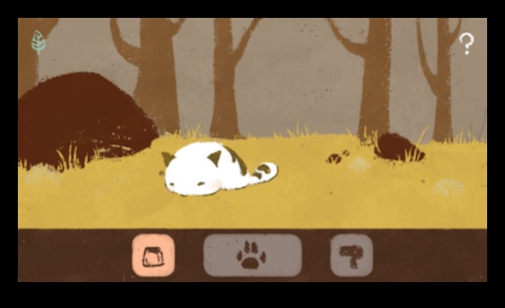 אולימפיאדת כיס לחיות מחמד: תחרויות ידידותיות לכדורי פרווה קטנים