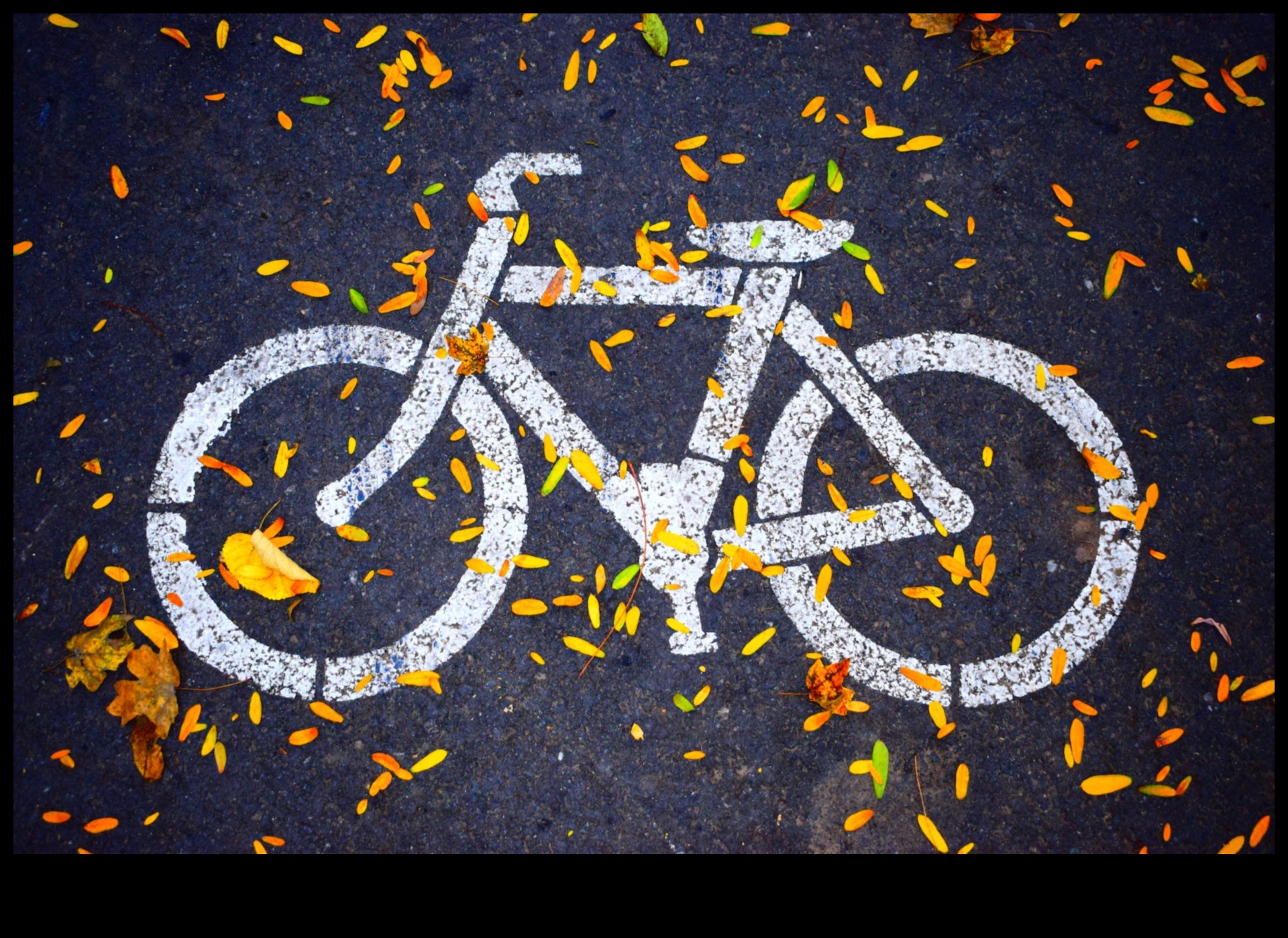 אופניים מעבר למבט על העתיד של רכיבה על אופניים 4 Bike Beyond: לחקור את עתיד האופניים