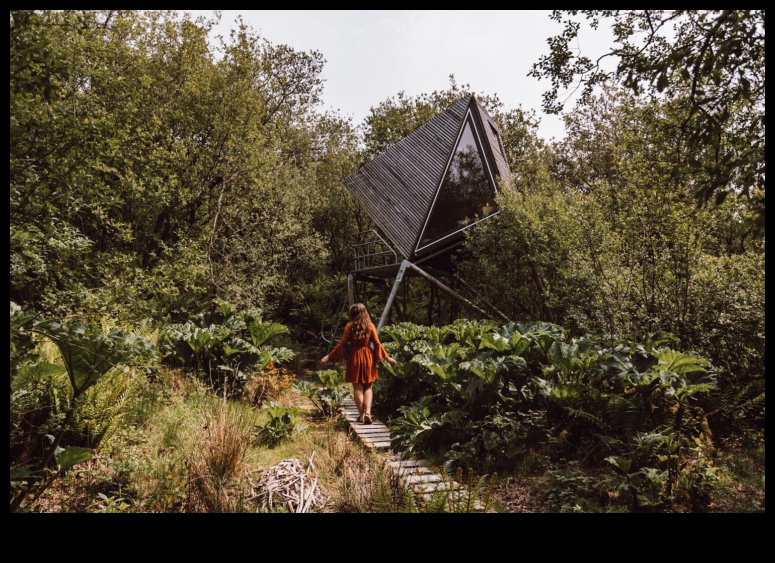 בריחה מהרפתקאות החיים של הג'ונגל האורבני בנופים מרוחקים 3 מעבר לג'ונגל האורבני: הרפתקאות ואן בנופים מרוחקים