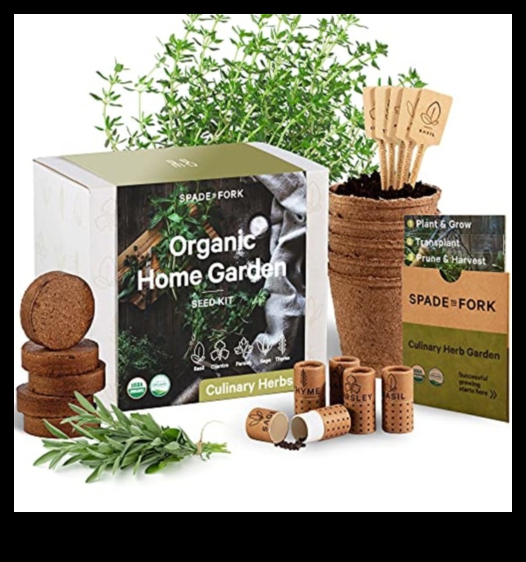 מתנות בנות קיימא שלך שמחבקות חיים ידידותיים לכדור הארץ 5 שלך בר קיימא: מתנות שמחבקות חיים ידידותיים לכדור הארץ