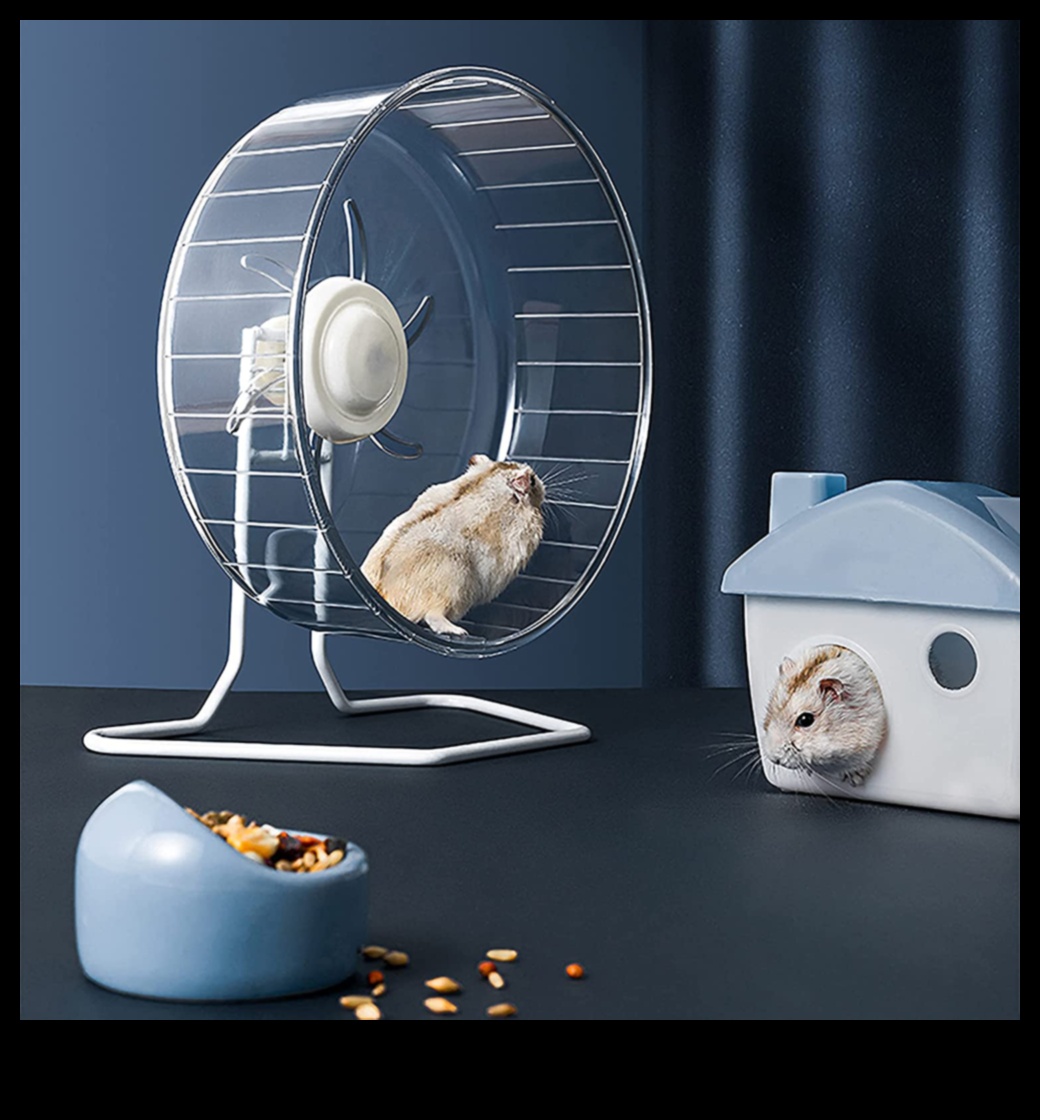 בטיחות גלגל אוגר המשך: תחזוקה ובדיקות שוטפות