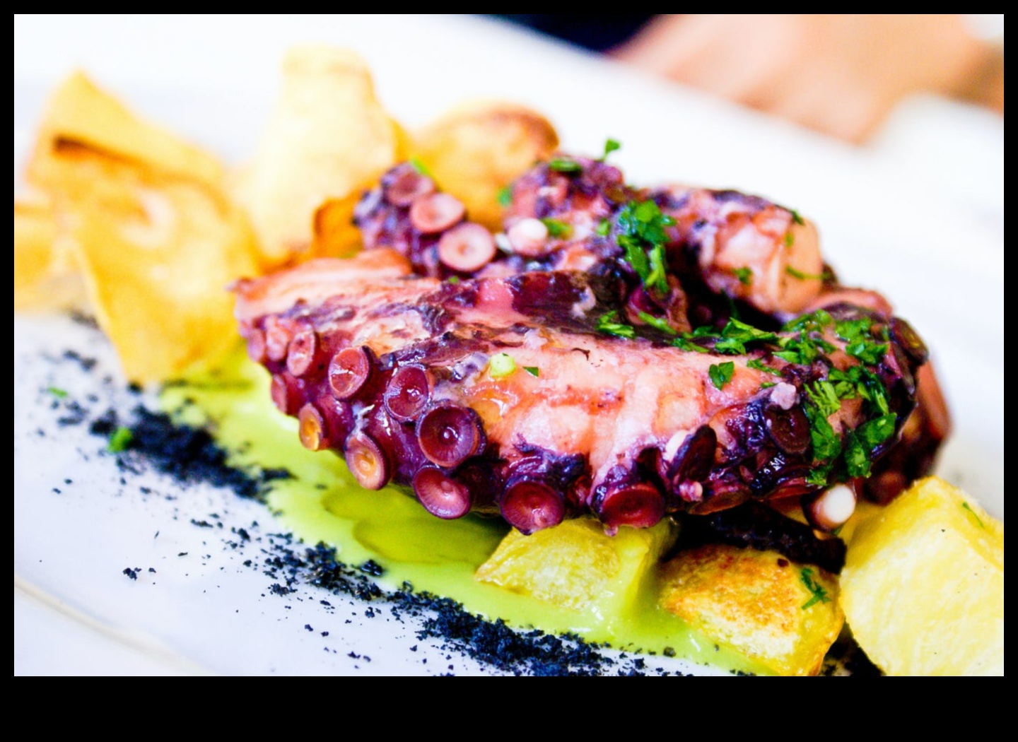 עצבן את בלוטות הטעם שלך: פלאי גסטרונומיה מקסיקניים