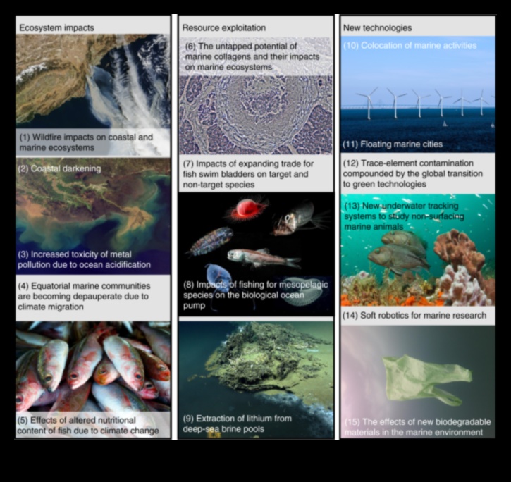 המשך כרוניקות החופים: חקר מערכות אקולוגיות ימיות מגוונות