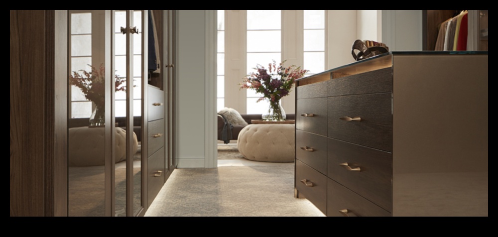 ארונות יצירתיים: אמנות חקר הפנים האופנתי