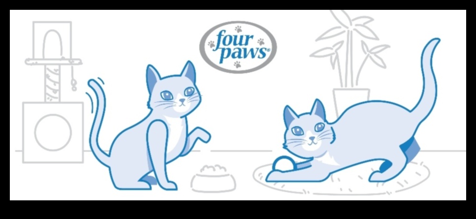 המשך שפת הפסולת: פענוח התנהגויות חדרי אמבטיה של חתולים