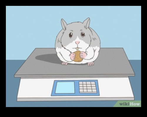 טיפים לשיחת שיניים אוגר לצורכי טיפול שיניים ולעיסה 3 שיחת שיני אוגר: טיפים לטיפול שיניים ולצרכי לעיסה