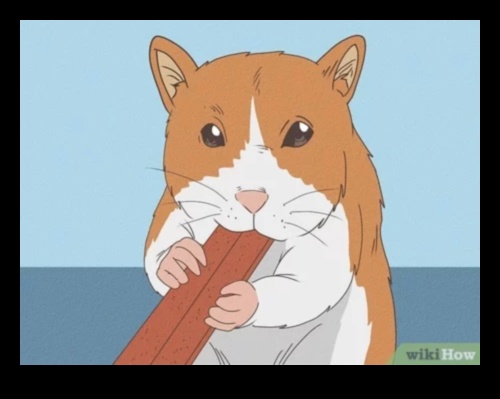 טיפים לשיחת שיניים אוגר לטיפול שיניים ולצרכי לעיסה 2 שיחת שיני אוגר: טיפים לטיפול שיניים ולצרכי לעיסה