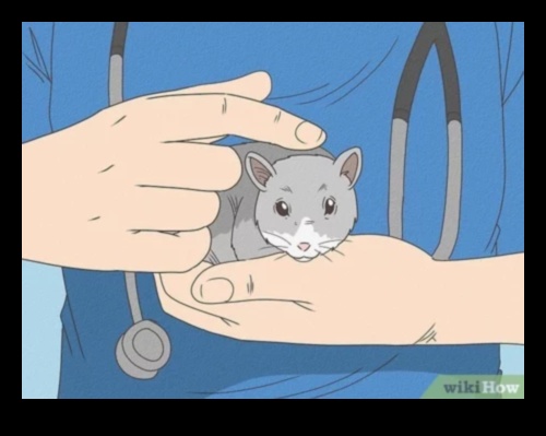 טיפים לשיחת שיניים אוגר לטיפול שיניים ולצרכי לעיסה 4 שיחת שיני אוגר: טיפים לטיפול שיניים ולצרכי לעיסה