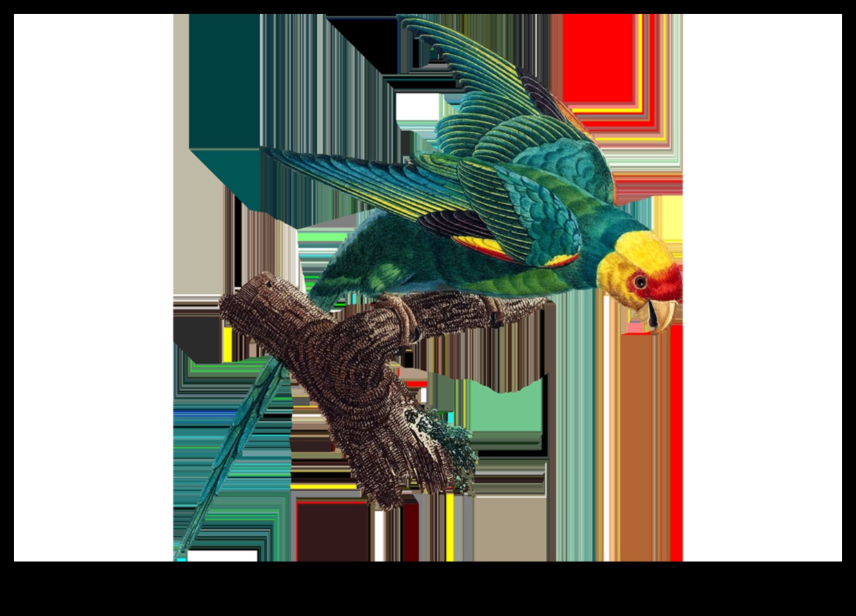 כרוניקות לשימור ציפורים: מאמצים להגן על מינים בסכנת הכחדה