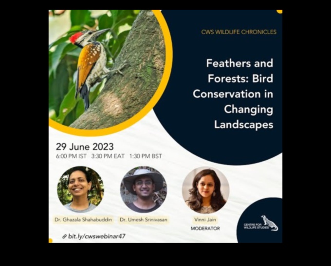 כרוניקות לשימור ציפורים: מאמצים להגן על מינים בסכנת הכחדה