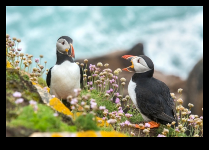 המשך חברים נוצות: התנהגויות חיבור ייחודיות בין ציפורים