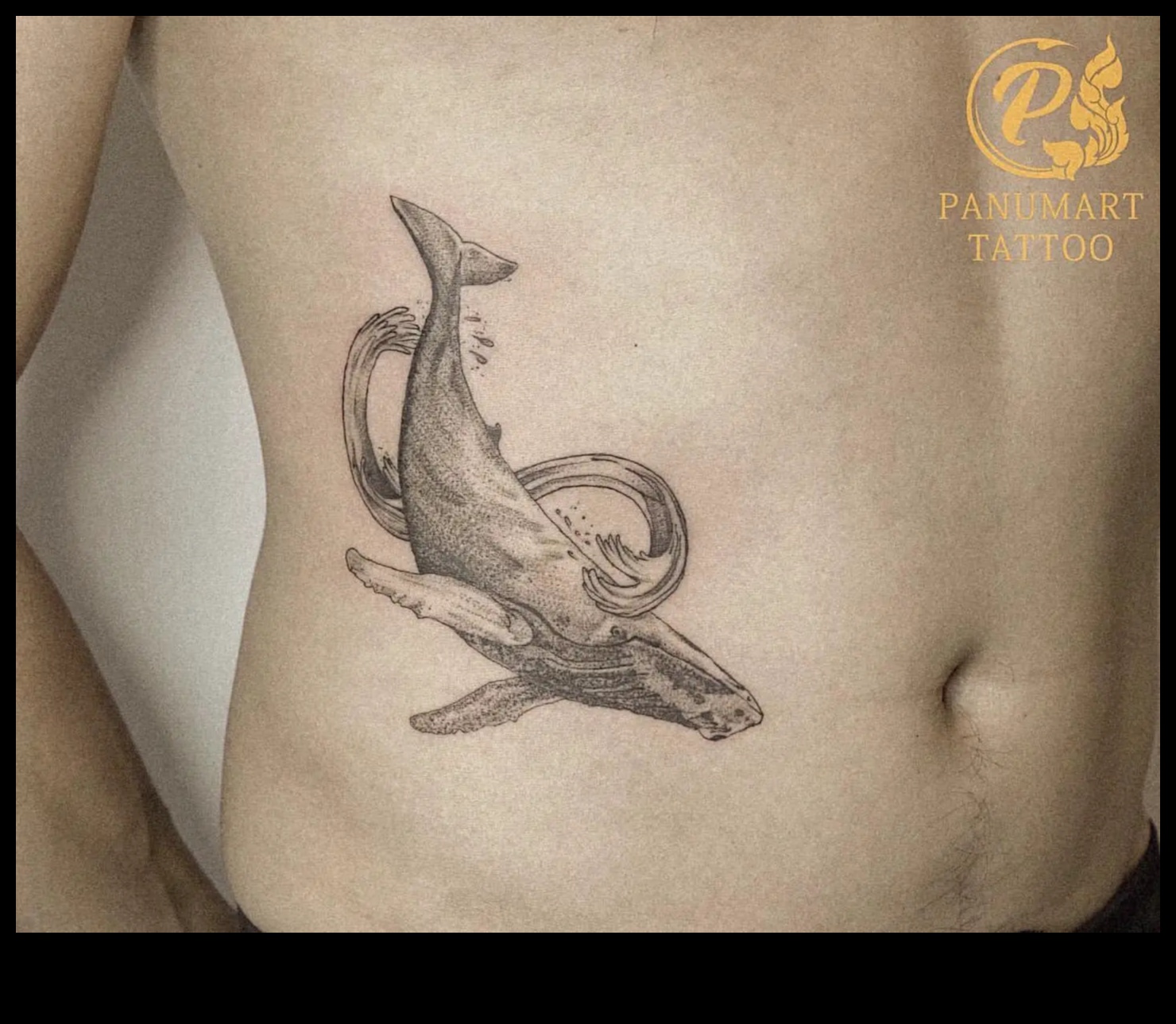 סנפירים ונוצות צוללים לתוך עולם הקעקועים של בעלי חיים ימיים 5 סנפירים ונוצות: צלול לתוך הרפתקאות קעקועים של בעלי חיים ימיים