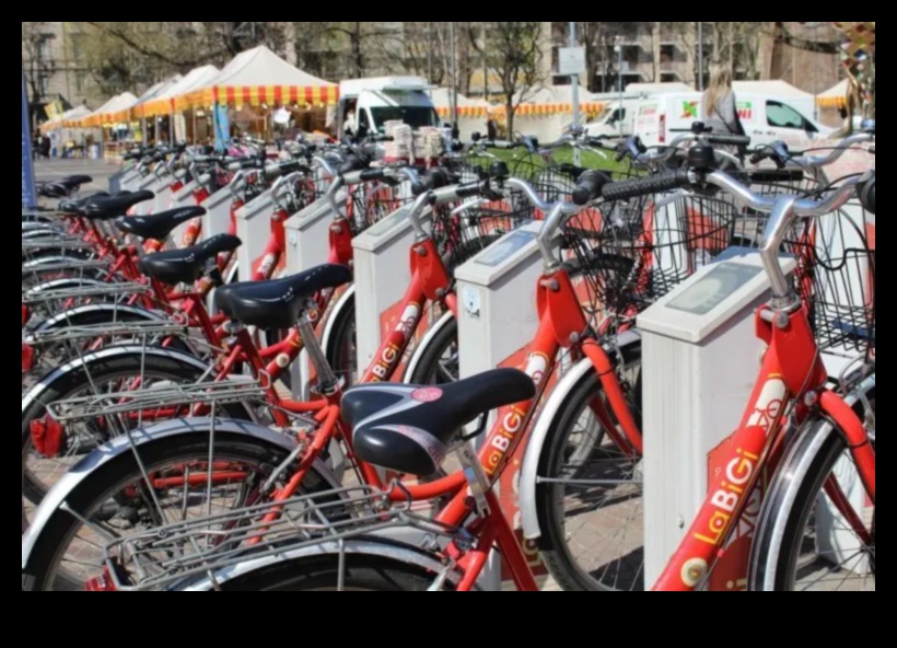 חיפושים ידידותיים לסביבה: תחבורה ציבורית כאלטרנטיבה הירוקה