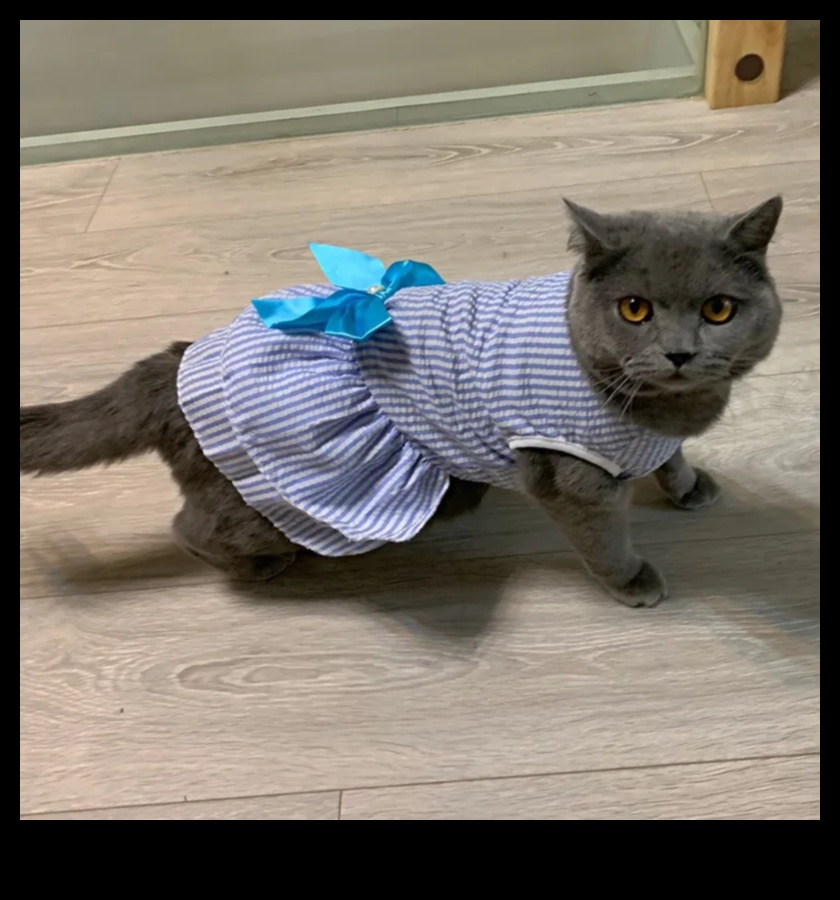 Feline Fashion Fiesta: הלביש את החתול שלך בסטייל