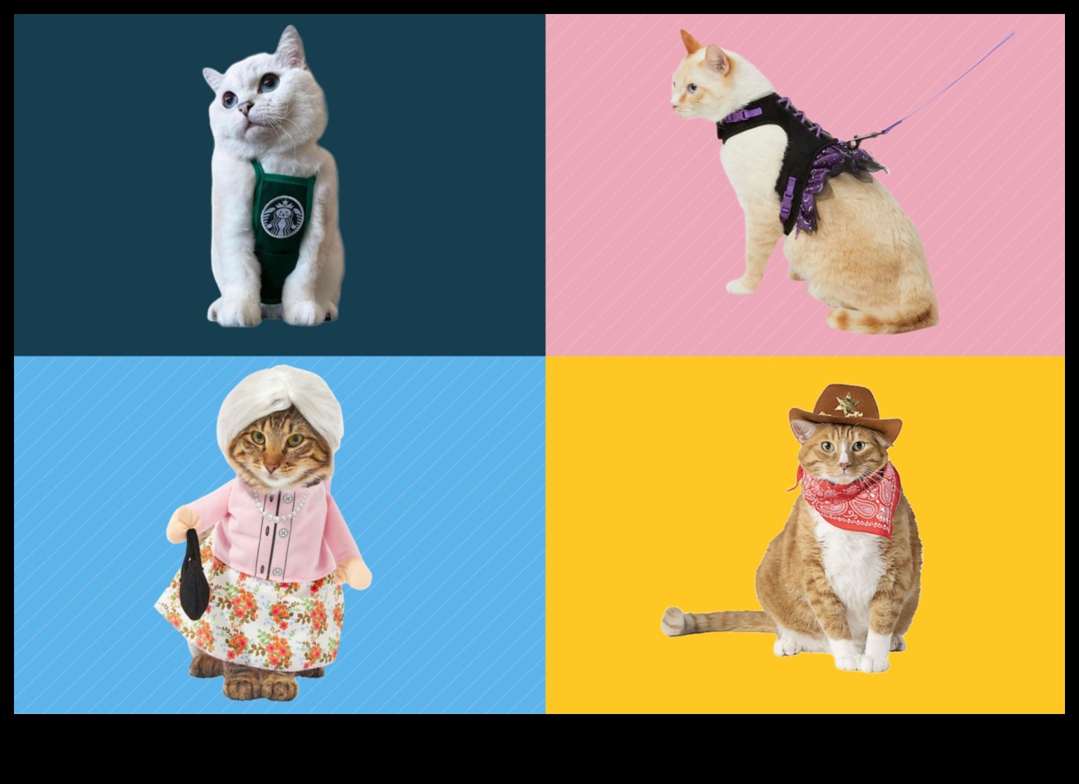 Feline Fashion Fiesta: הלביש את החתול שלך בסטייל