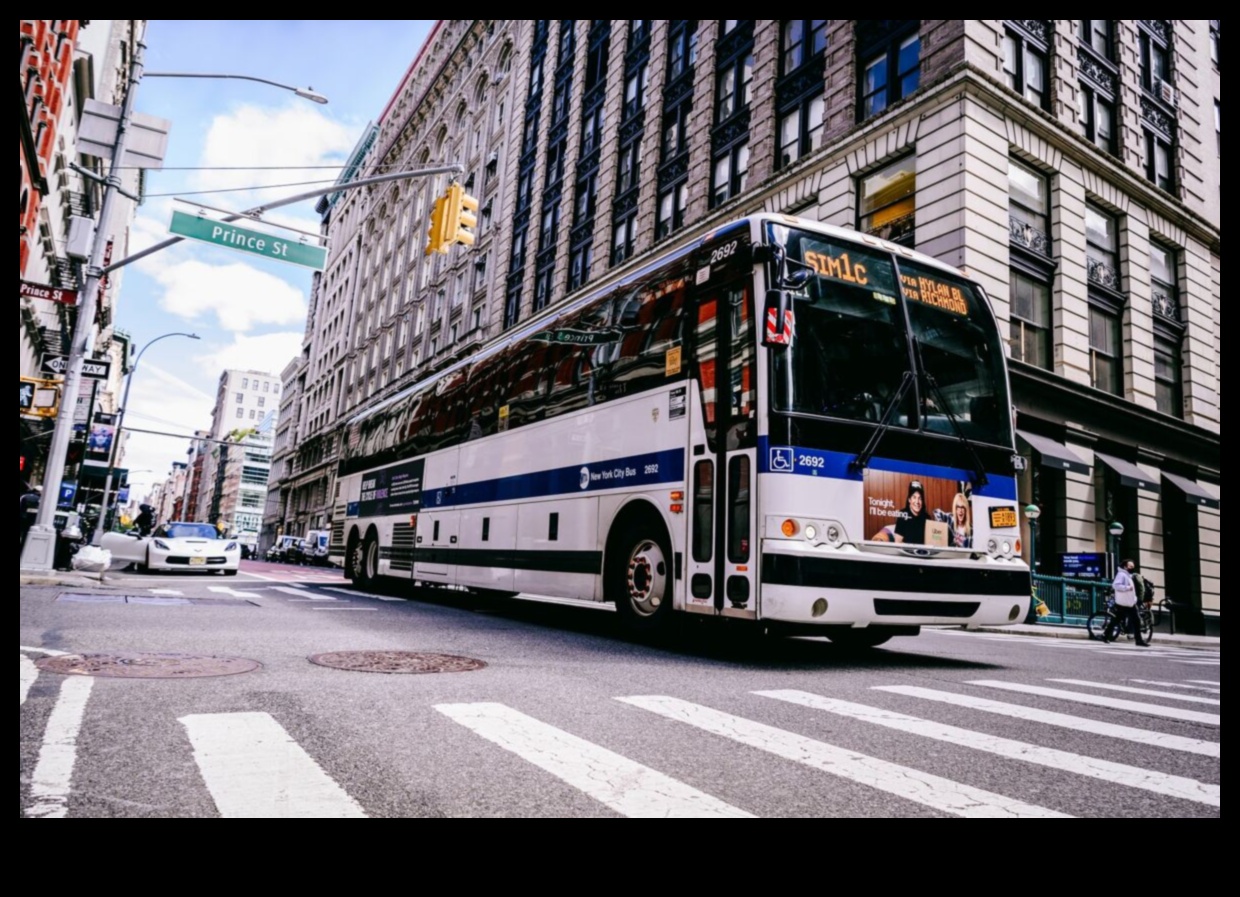 בתנועה: הקצב הדינמי של החיים עם תחבורה ציבורית