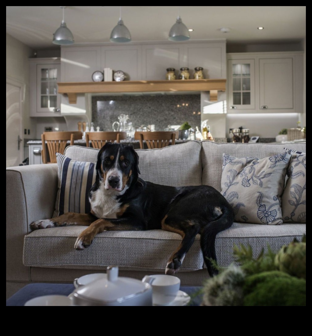 כלבלב דקור עיצוב פנים מסוגנן טיפים לבתים ידידותיים לחיות מחמד 2 כלבלב דקור: טיפים לעיצוב פנים מסוגנן לבתים ידידותיים לחיות מחמד