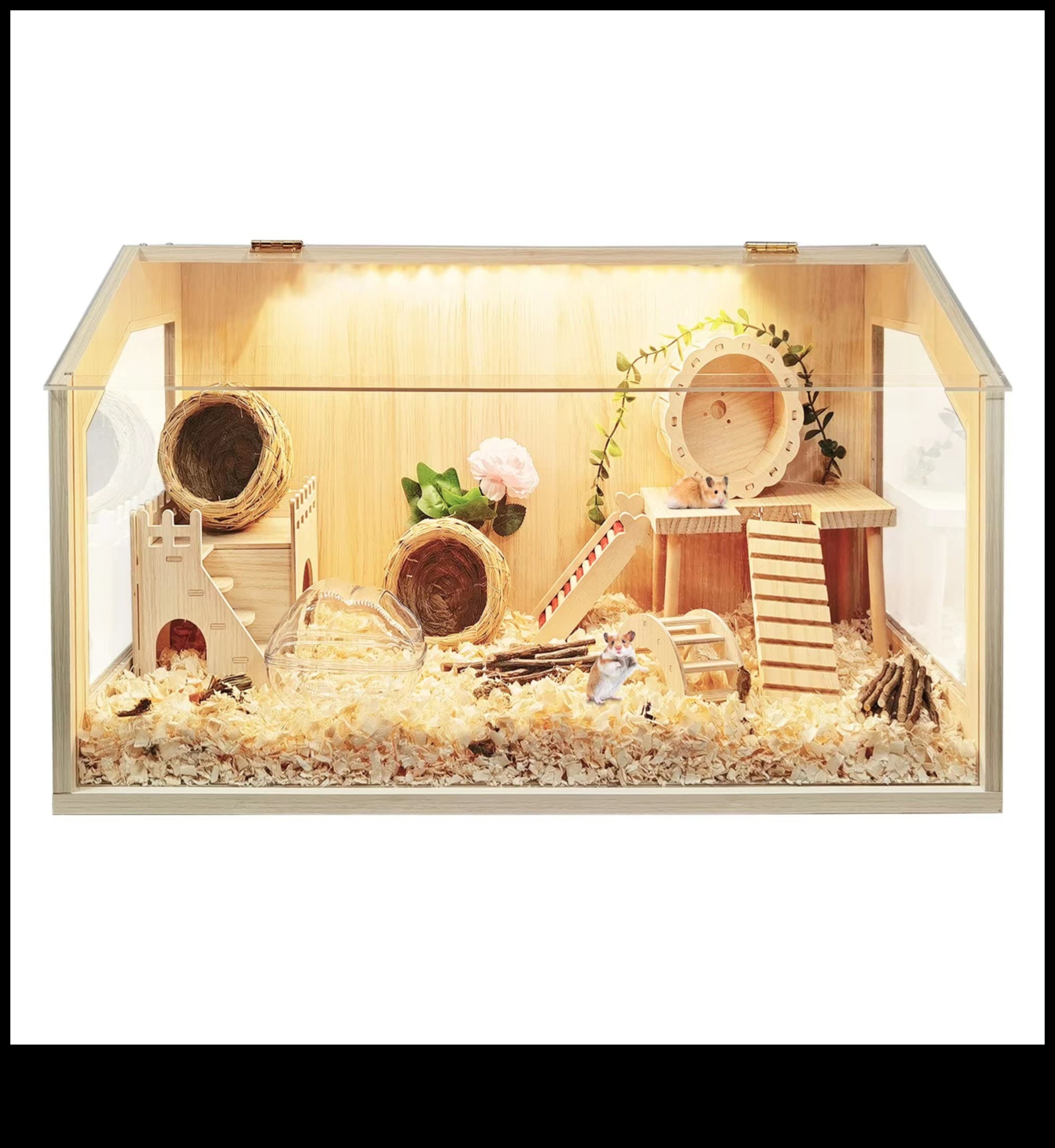 מעבר לכלוב: הרפתקאות חוץ לחקר אוגרים