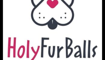 אולימפיאדת כיס לחיות מחמד: תחרויות ידידותיות לכדורי פרווה קטנים