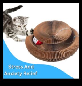 Whisker Wonders המשך: גילוי אביזרים חדשים לחתולים