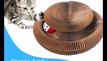 Whisker Wonders המשך: גילוי אביזרים חדשים לחתולים