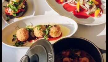 בריחה קולינרית: הרפתקאות איטלקיות בטעם