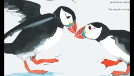 חברים מנוצים המשיכו להתנהגויות חיבור תחום מומחיות בין ציפורים 1 המשך חברים נוצות: התנהגויות חיבור ייחודיות בין ציפורים