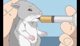 שיחת שיני אוגר: ​​טיפים לטיפול שיניים ולצרכי לעיסה