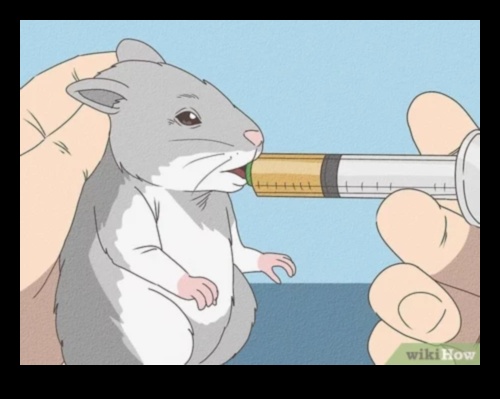 טיפים לשיחת שיניים אוגר לטיפול שיניים ולצרכי לעיסה 1 שיחת שיני אוגר: טיפים לטיפול שיניים ולצרכי לעיסה