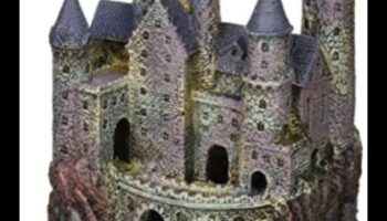 הון דגים המשך: עיצוב טירות עבור חיות מחמד באקווריום