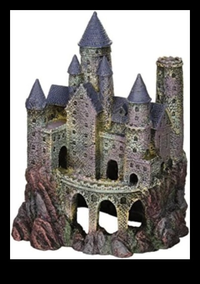 הון דגים המשך: עיצוב טירות עבור חיות מחמד באקווריום