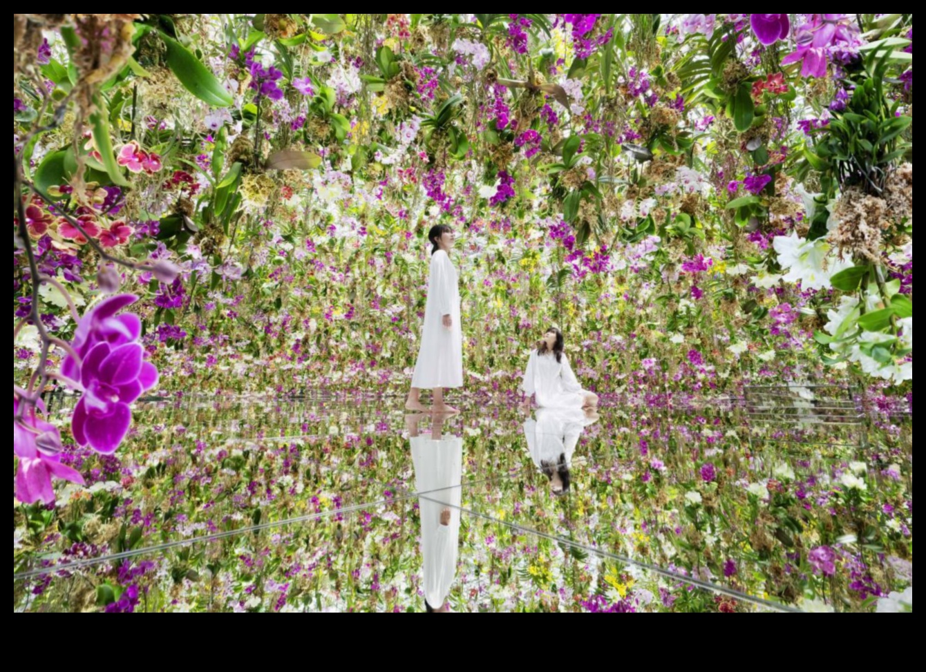 מרחבים יצירתיים: מצית חדשנות בחקר אדריכלות