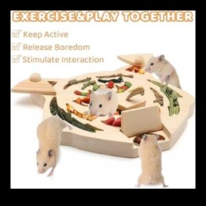 זמן משחק של אוגר המשך: משחקים אינטראקטיביים לגירוי מנטלי