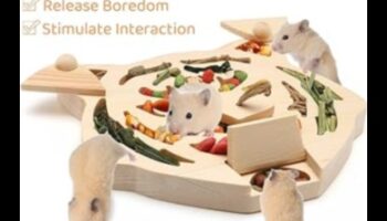 זמן משחק של אוגר המשך: משחקים אינטראקטיביים לגירוי מנטלי