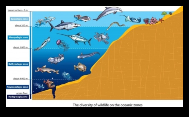 מתחת לגלים: איך דגים מסתגלים לעומקי אוקיינוס ​​שונים